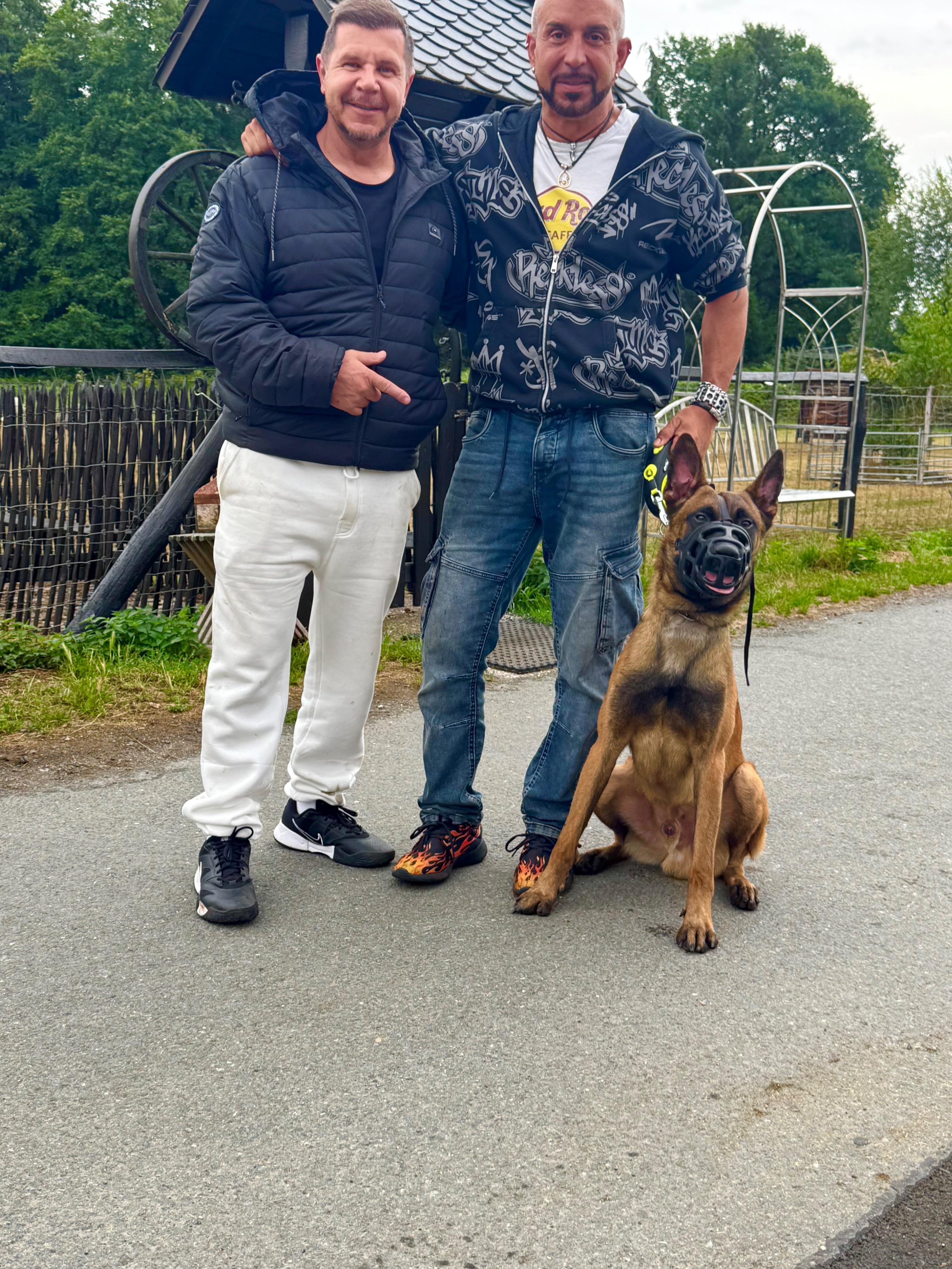 2026.Set - Leguan des Chiens de Travail - Alemanha