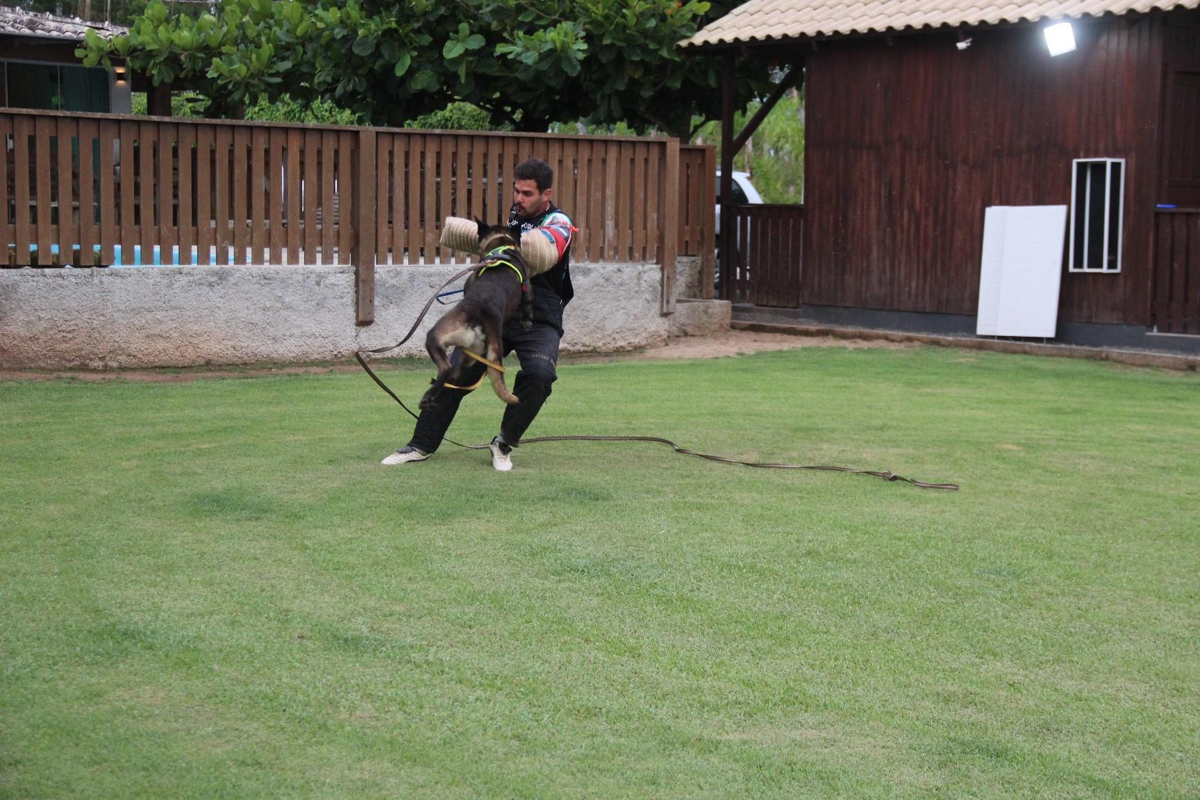 2020.Jan.18 - Seal Araguaia em treino com Victor Saad.