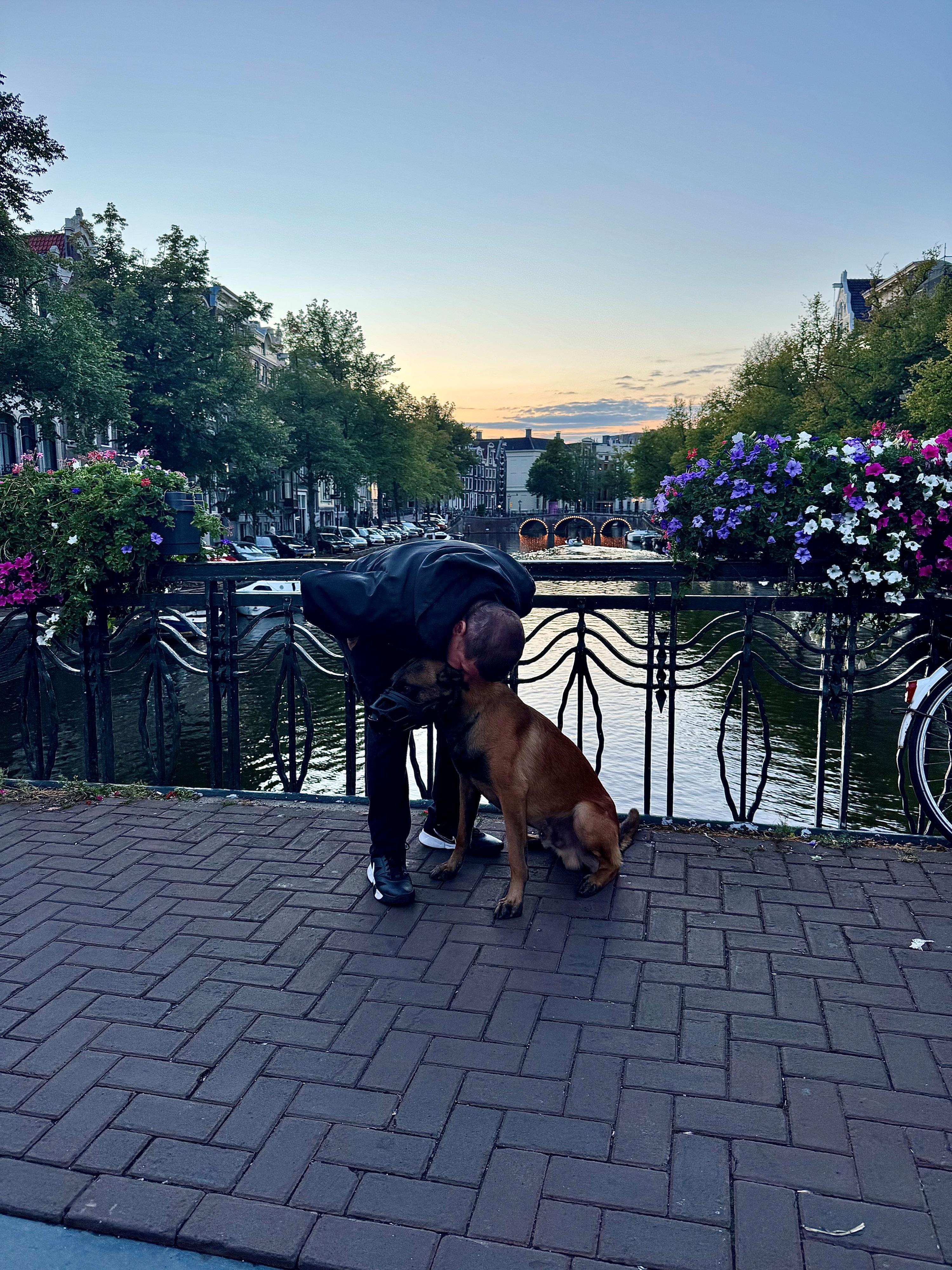 2026.Set - Leguan des Chiens de Travail - Holanda