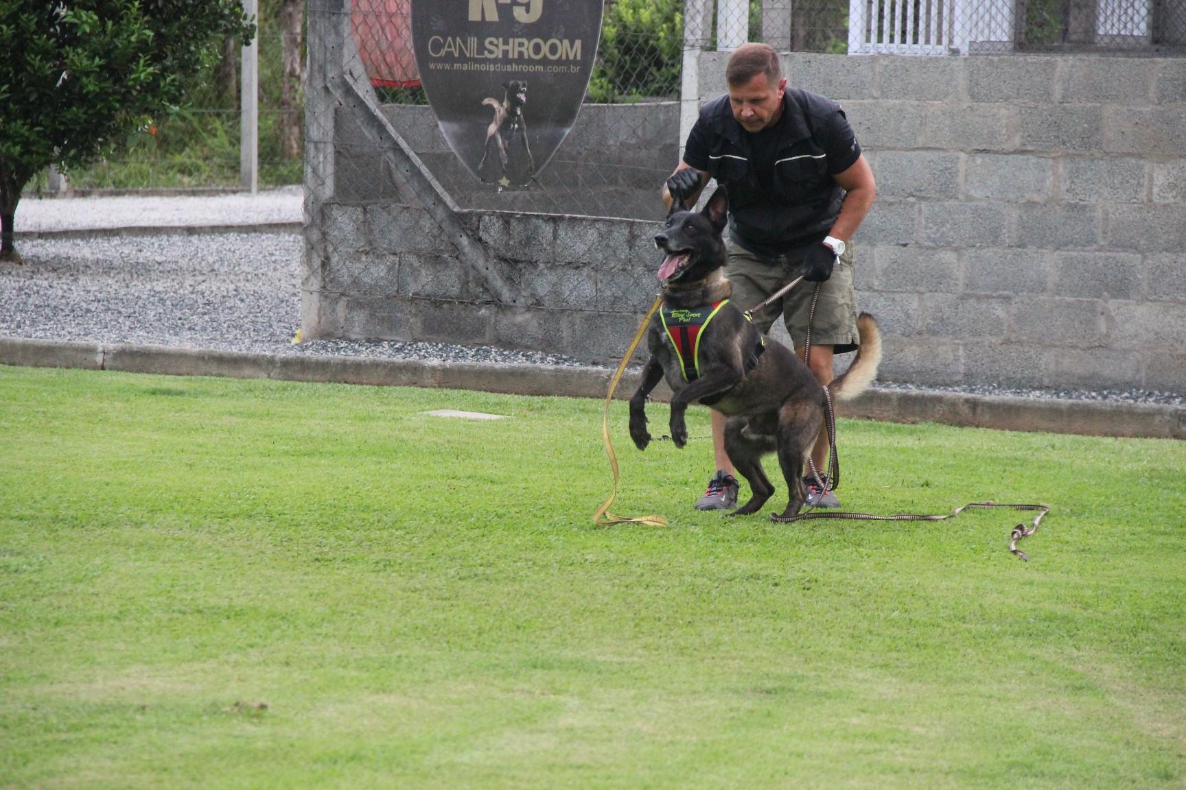 2020.Jan.18 - Seal Araguaia em treino com Victor Saad.
