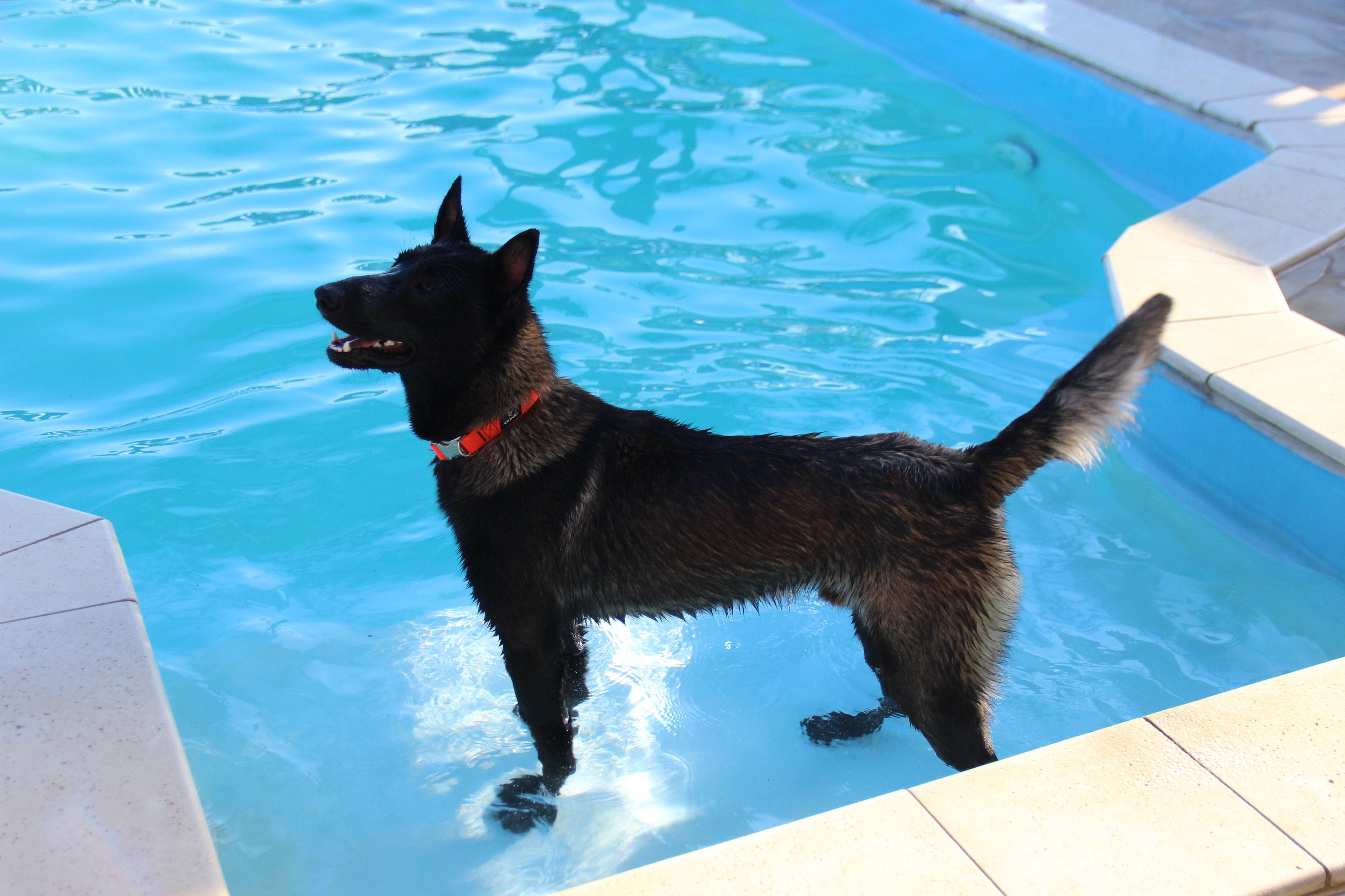 2025.Nov.10 - Taurus - Alfonso Energy Slovakia