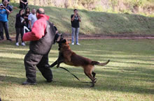 2012.Jul - Kukays Asko - Seminrio Sgt. Doug Roller - L.A.P.D