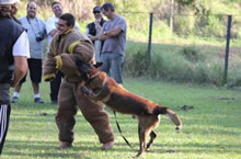 2012.Jul - Kukays Asko - Seminrio Sgt. Doug Roller - L.A.P.D