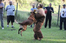 2012.Jul - Kukays Asko - Seminrio Sgt. Doug Roller - L.A.P.D