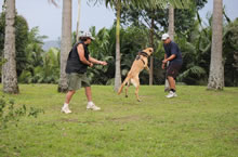 2011.Nov - Alexandre, Fumaa e Rodrigo