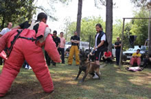 2012.Out - Kukays Asko no Seminrio de Jimmy Vanhove