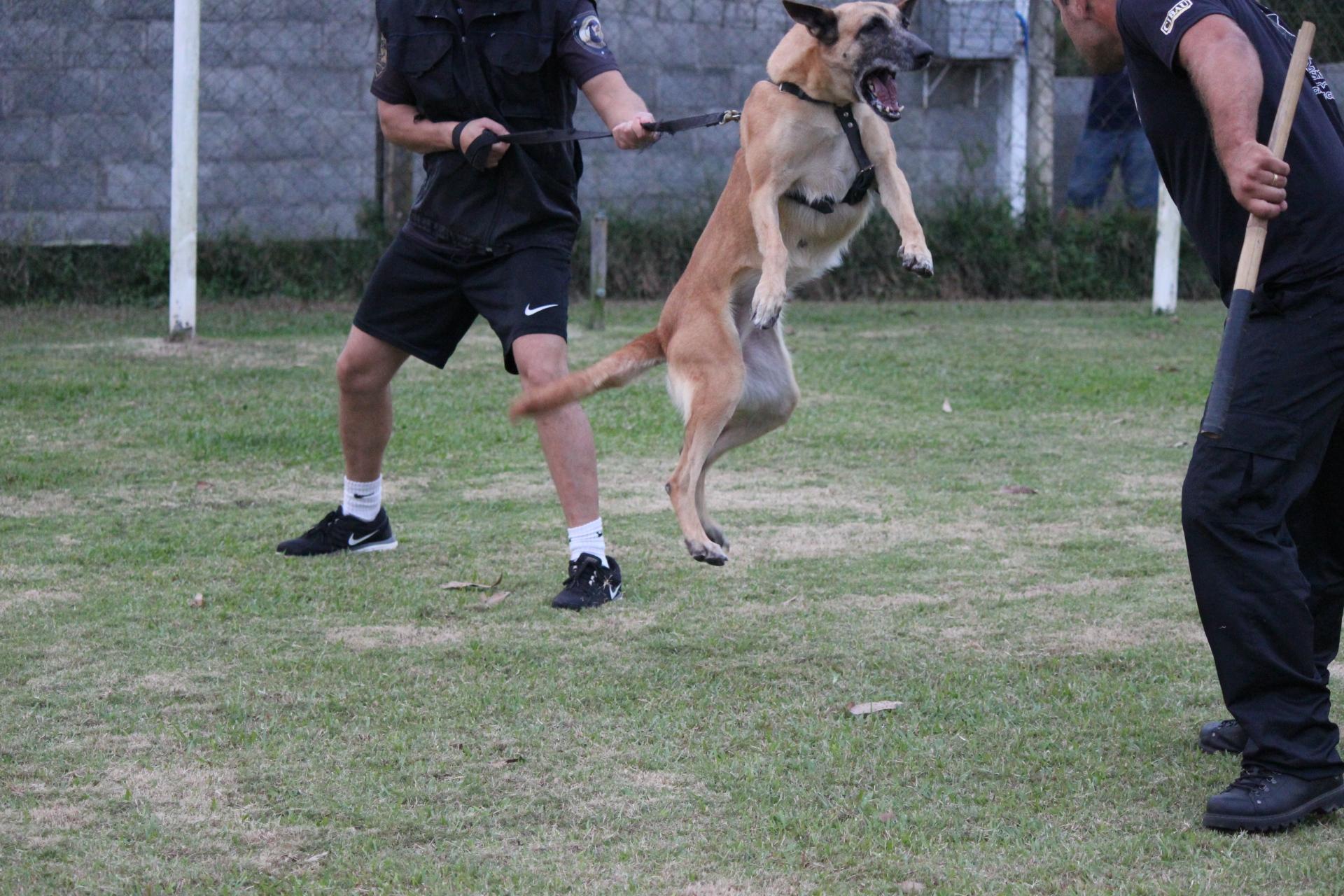 2015.Jul.01 - Fumaa em treino civil