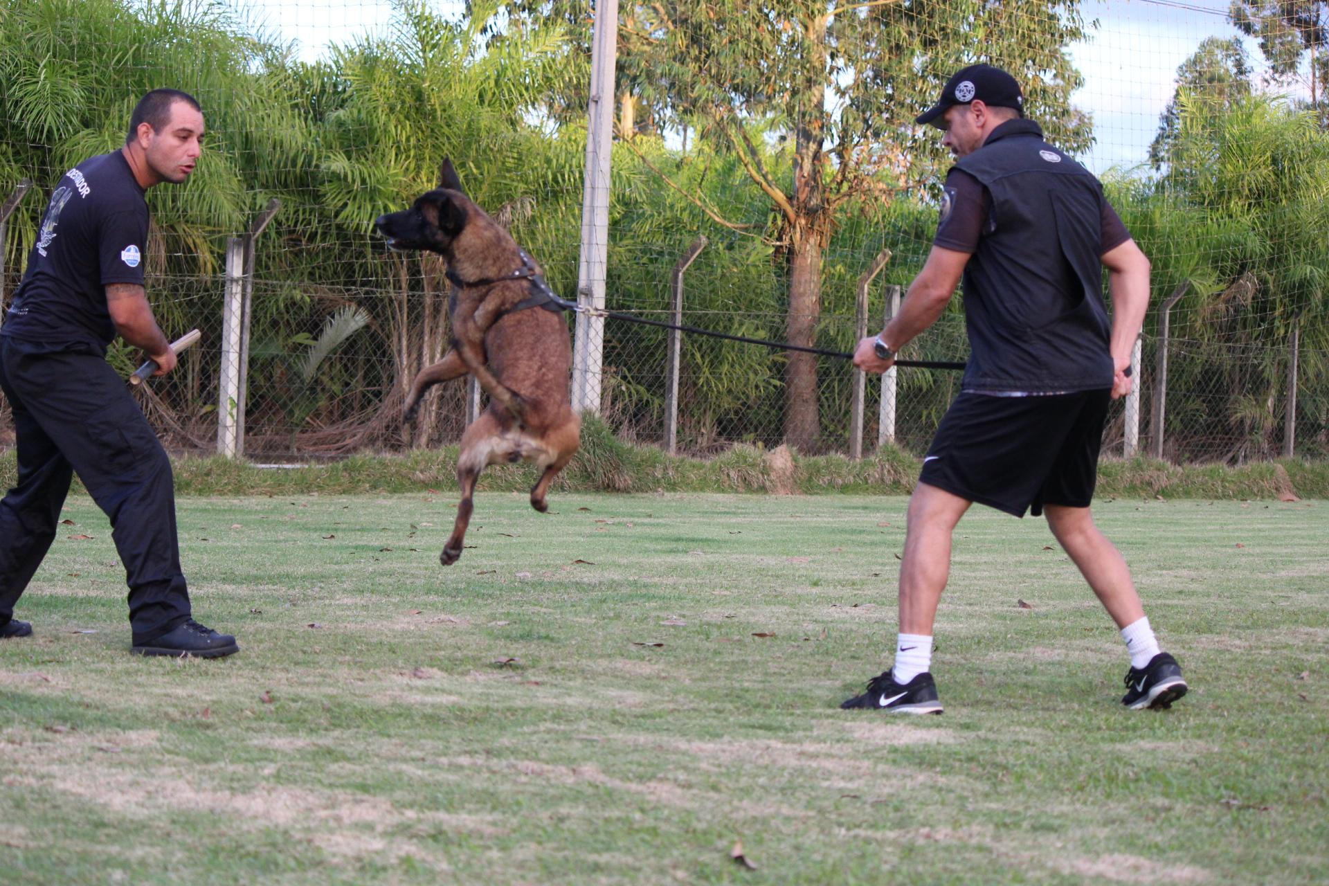 2015.Jul.01 - Honda em Treino Civil