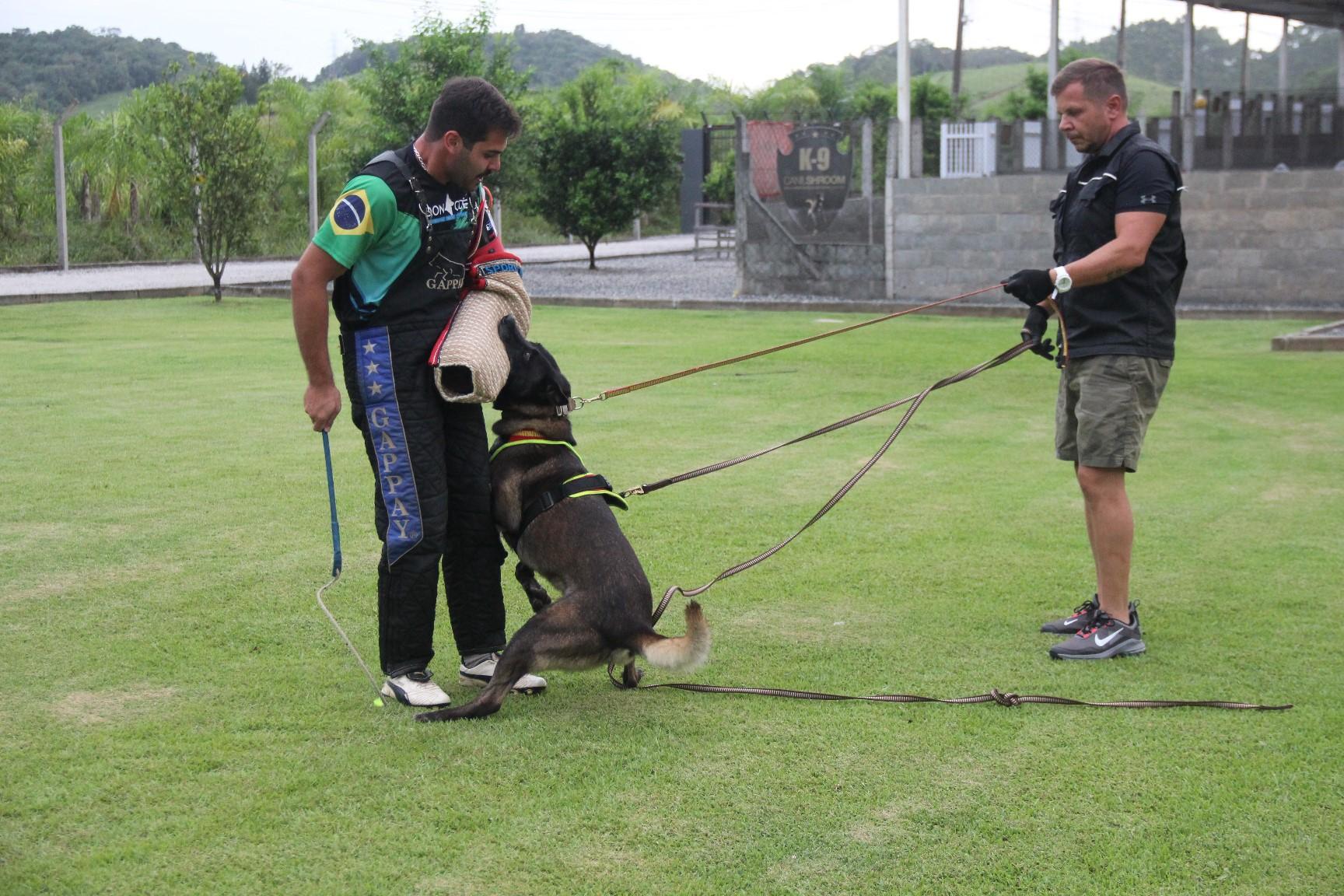 2020.Jan.18 - Seal Araguaia em treino com Victor Saad.