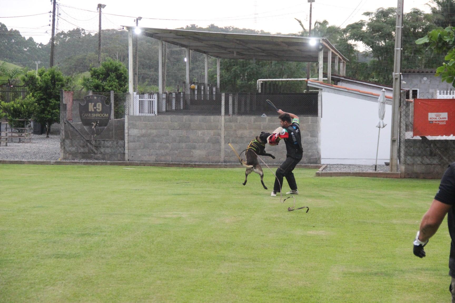 2020.Jan.18 - Seal Araguaia em treino com Victor Saad.