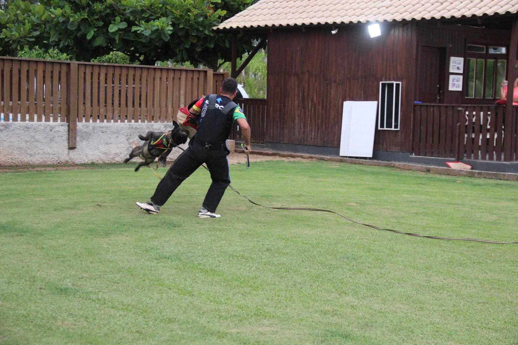 2020.Jan.18 - Seal Araguaia em treino com Victor Saad.