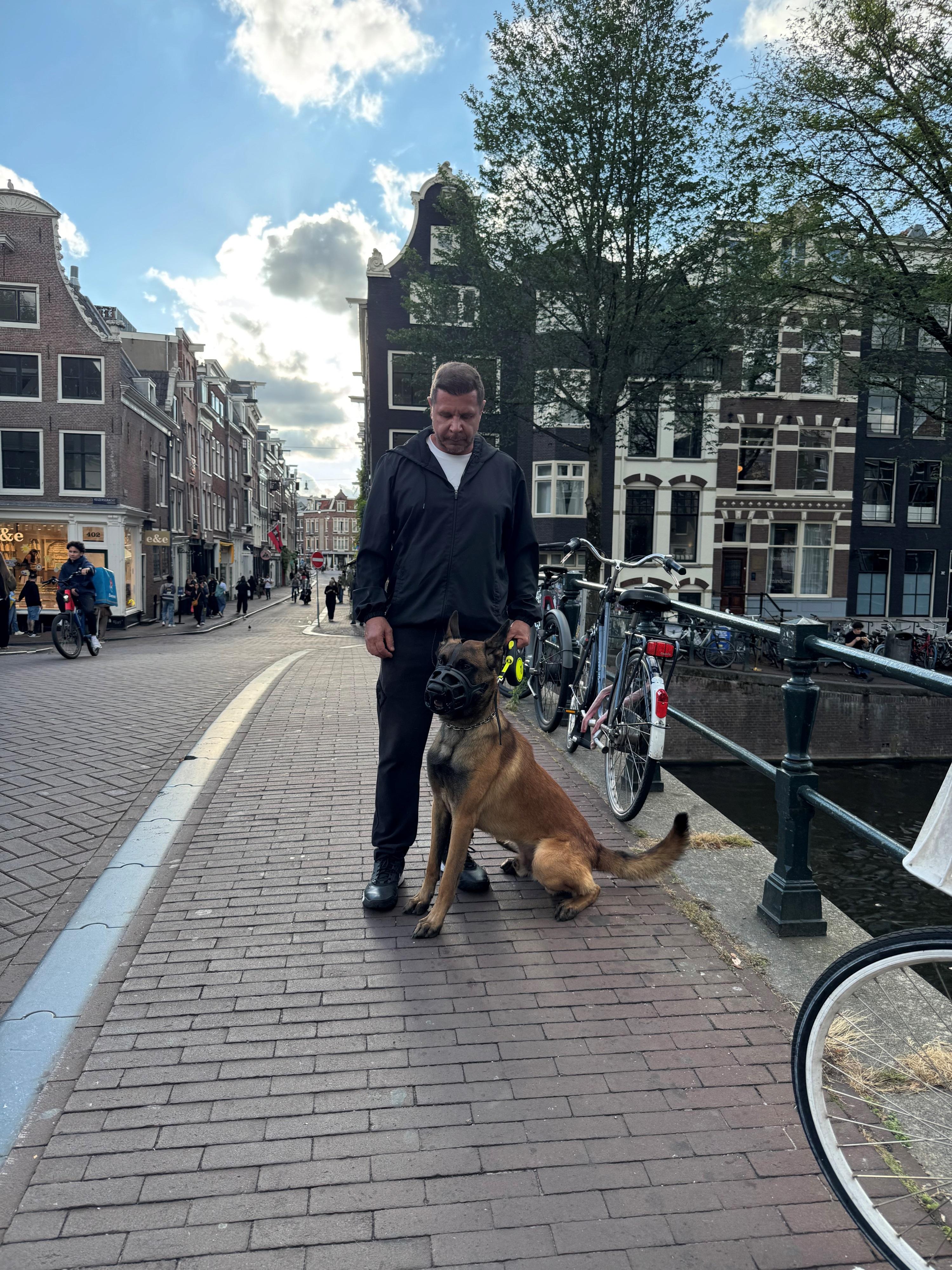 2026.Set - Leguan des Chiens de Travail - Holanda
