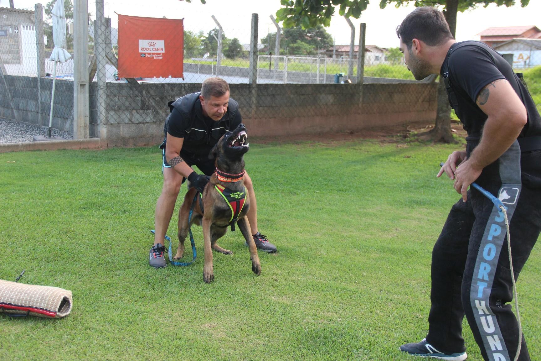2020.Jan - Colt vom Further Moor em treino com Victor Saad.