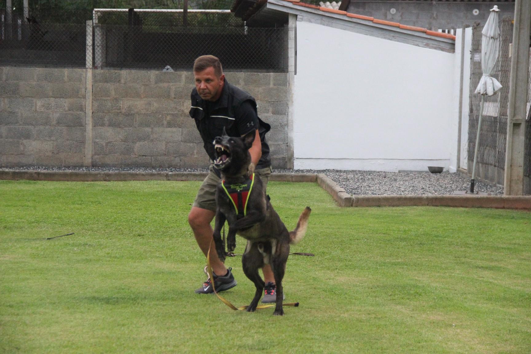 2020.Jan.18 - Seal Araguaia em treino com Victor Saad.