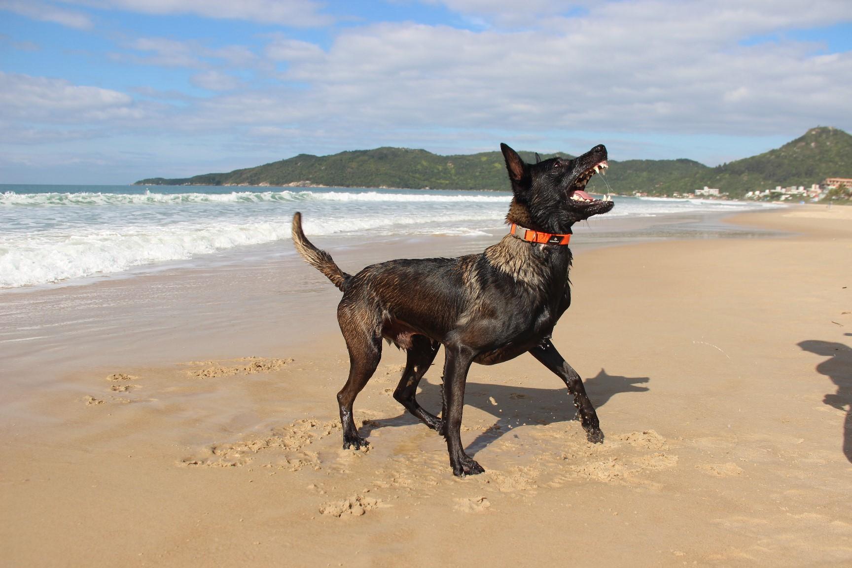 2026.Jun.14 - Praia de Mariscal - SC