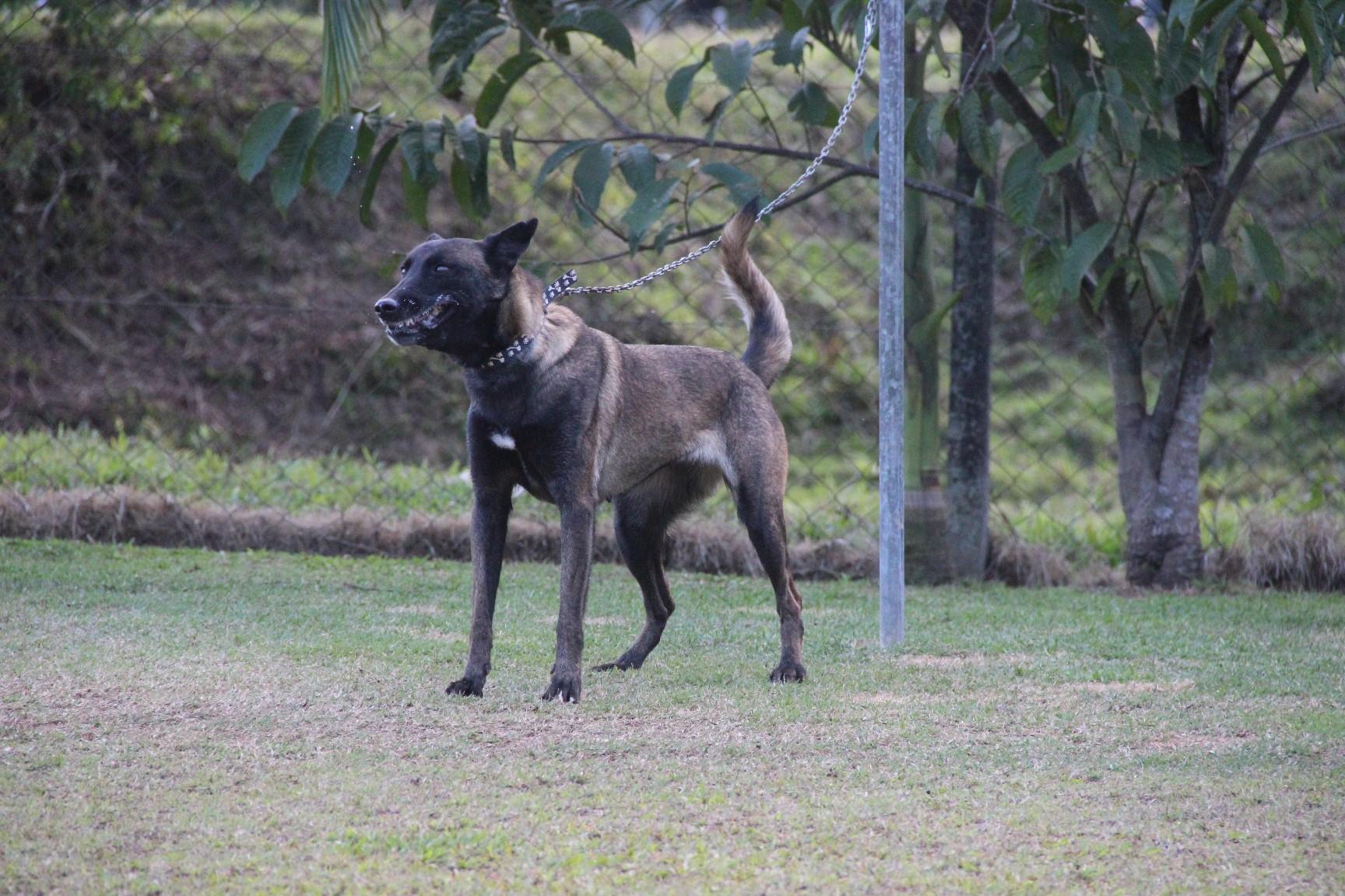 2018.Ago - Dora Araguaia - 3 anos