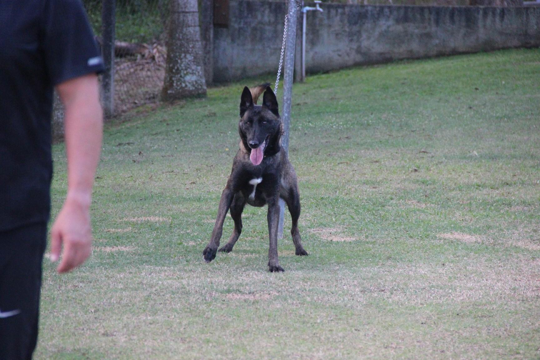 2018.Ago - Dora Araguaia - 3 anos