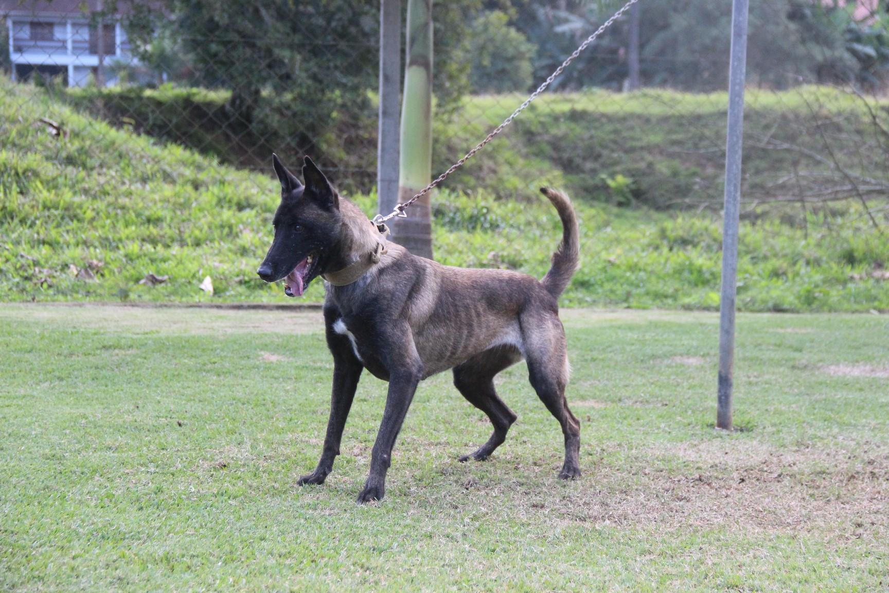 2019.Jul - Dora Araguaia