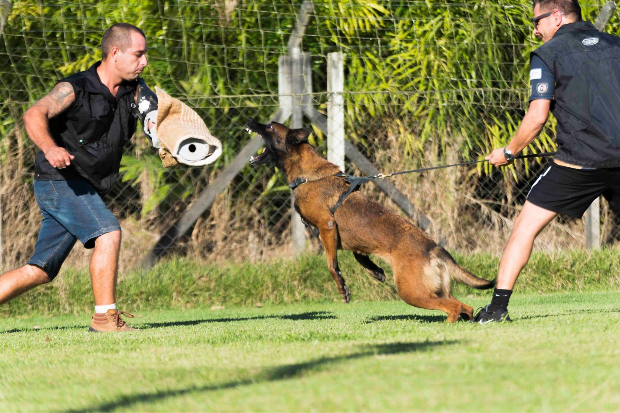 2015.Jul - Treino Proteo com Makechas Dana, e Eron.