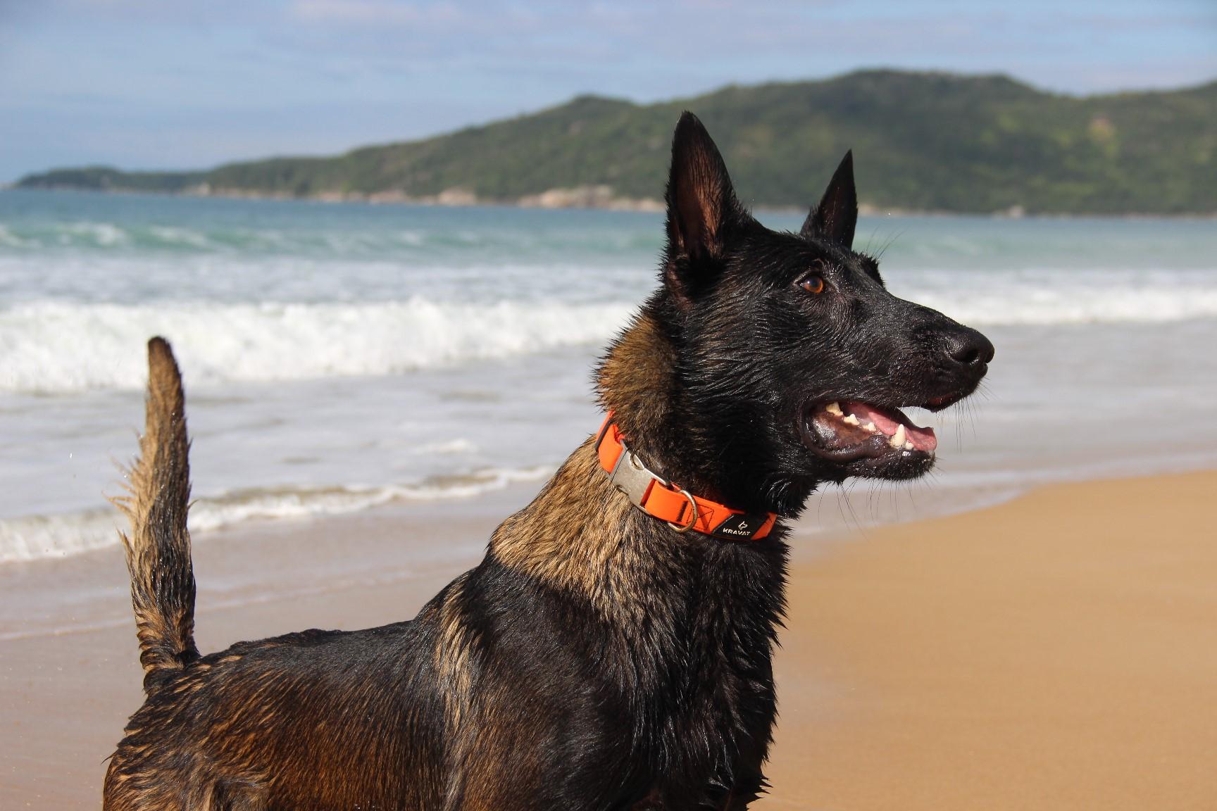 2026.Jun.14 - Praia de Mariscal - SC