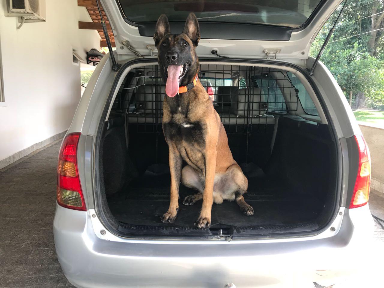 2018.Agosto.01 - Olha o tamanho da criana dentro do carro...