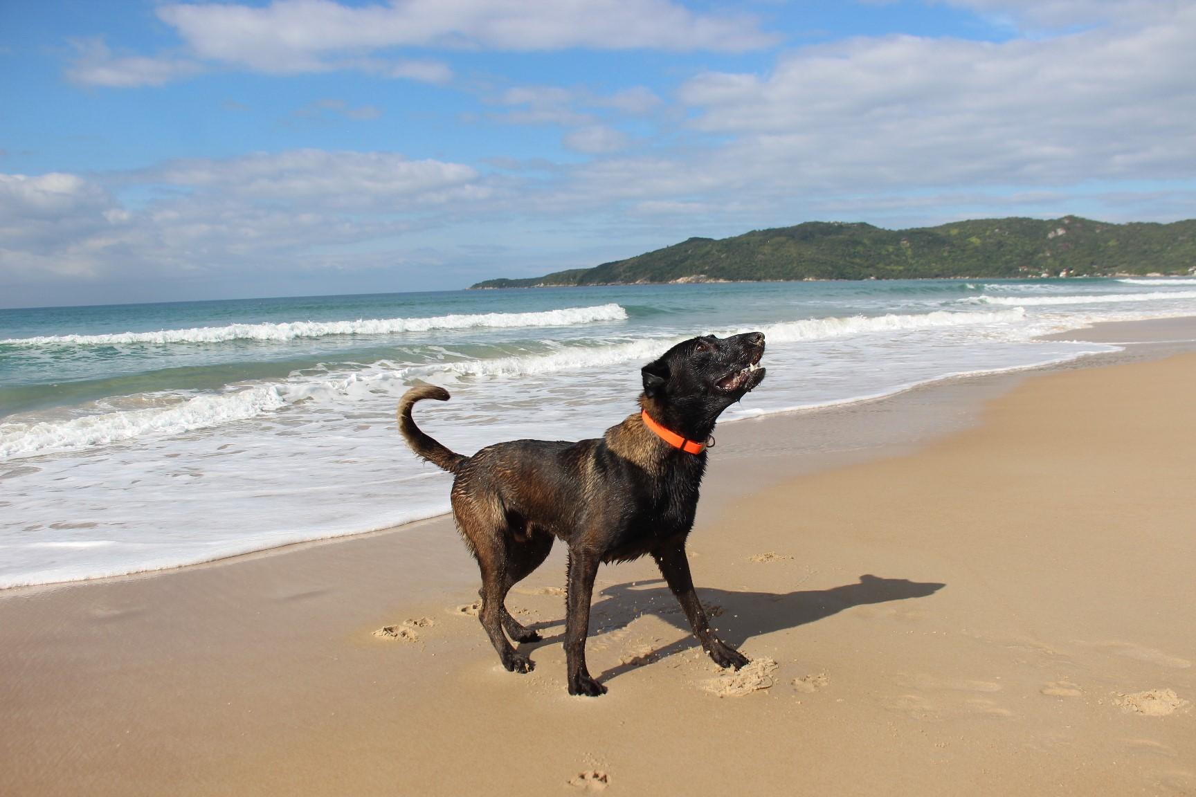 2026.Jun.14 - Praia de Mariscal - SC