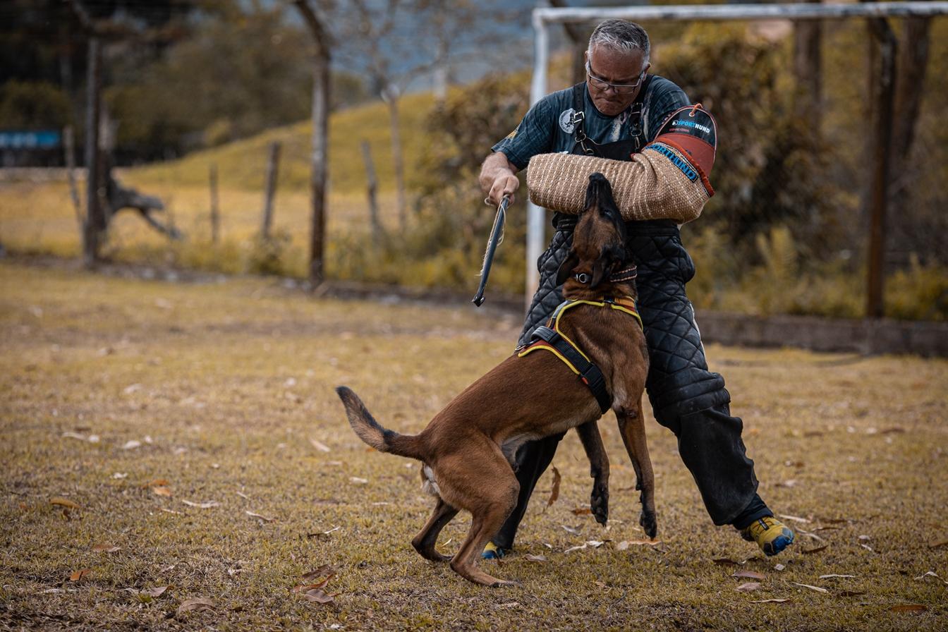 2020.Nov - Colt vom Further Moor e Marcio Cerqueira