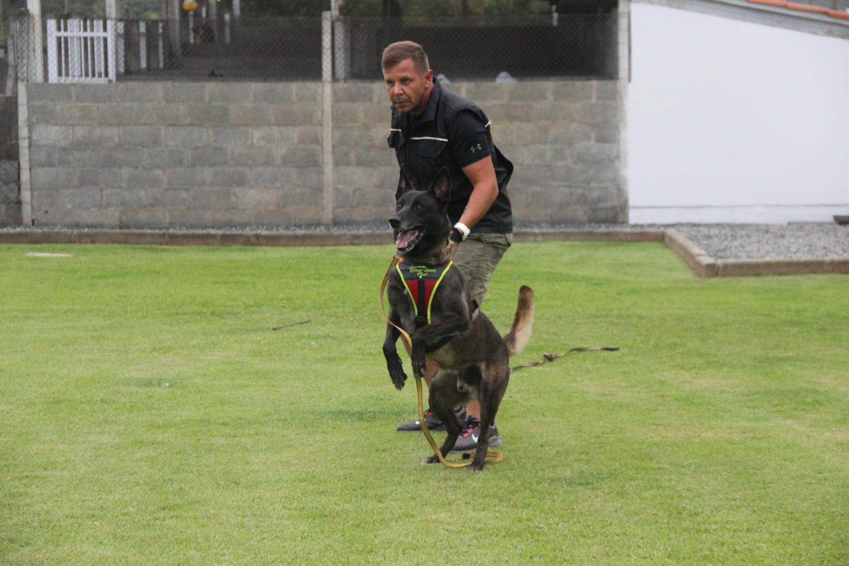 2020.Jan.18 - Seal Araguaia em treino com Victor Saad.