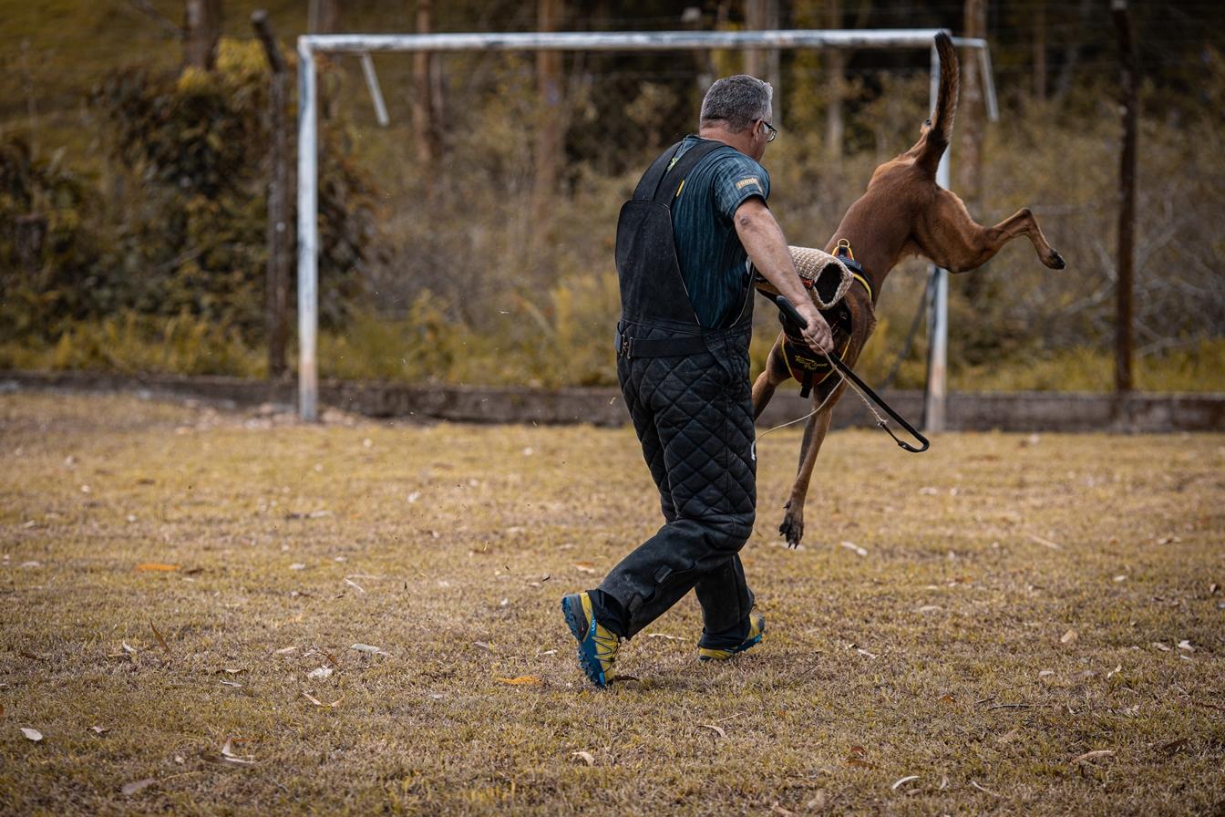 2020.Nov - Colt vom Further Moor e Marcio Cerqueira