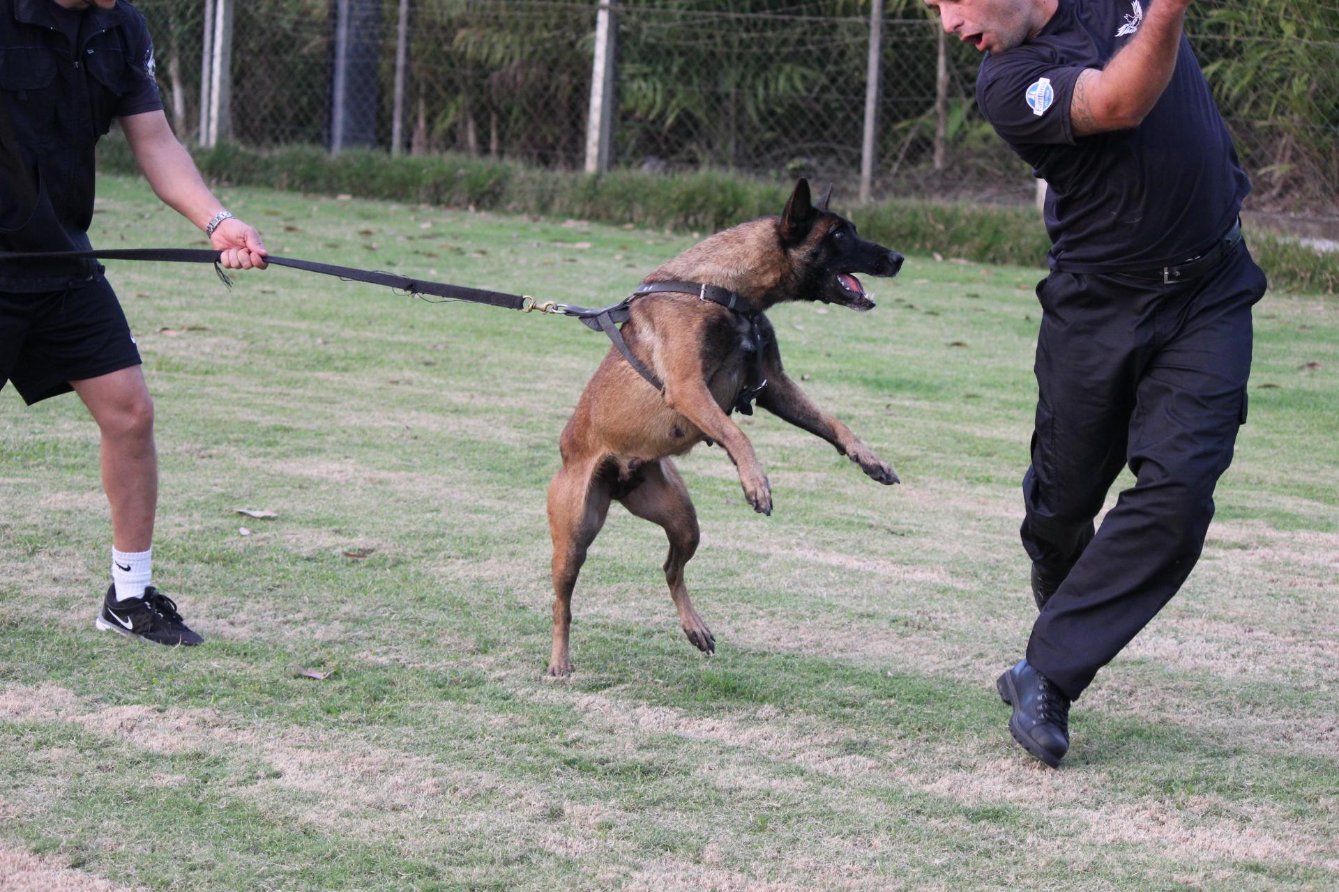 2015.Jul.01 - Honda em Treino Civil