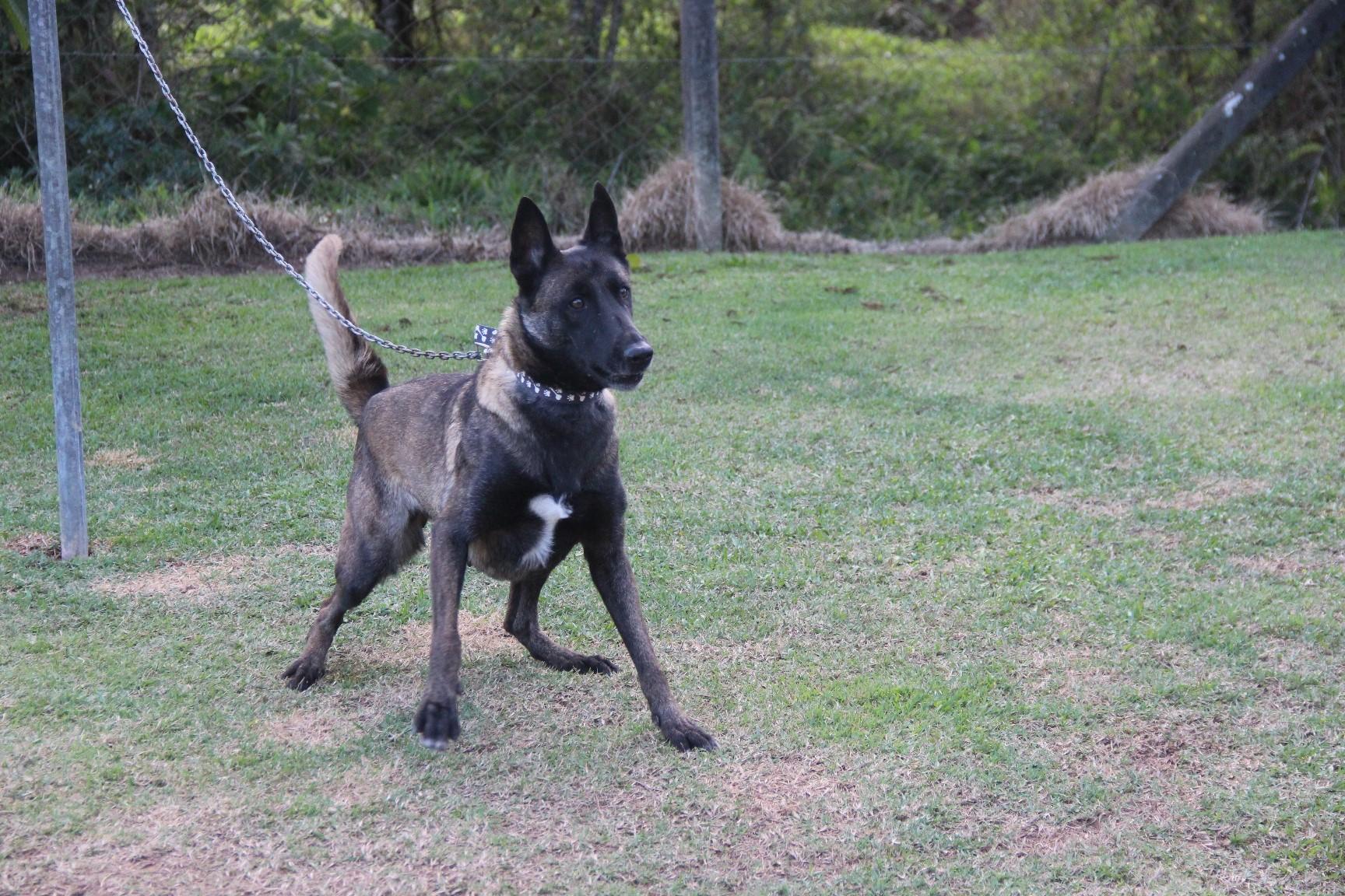 2018.Ago - Dora Araguaia - 3 anos