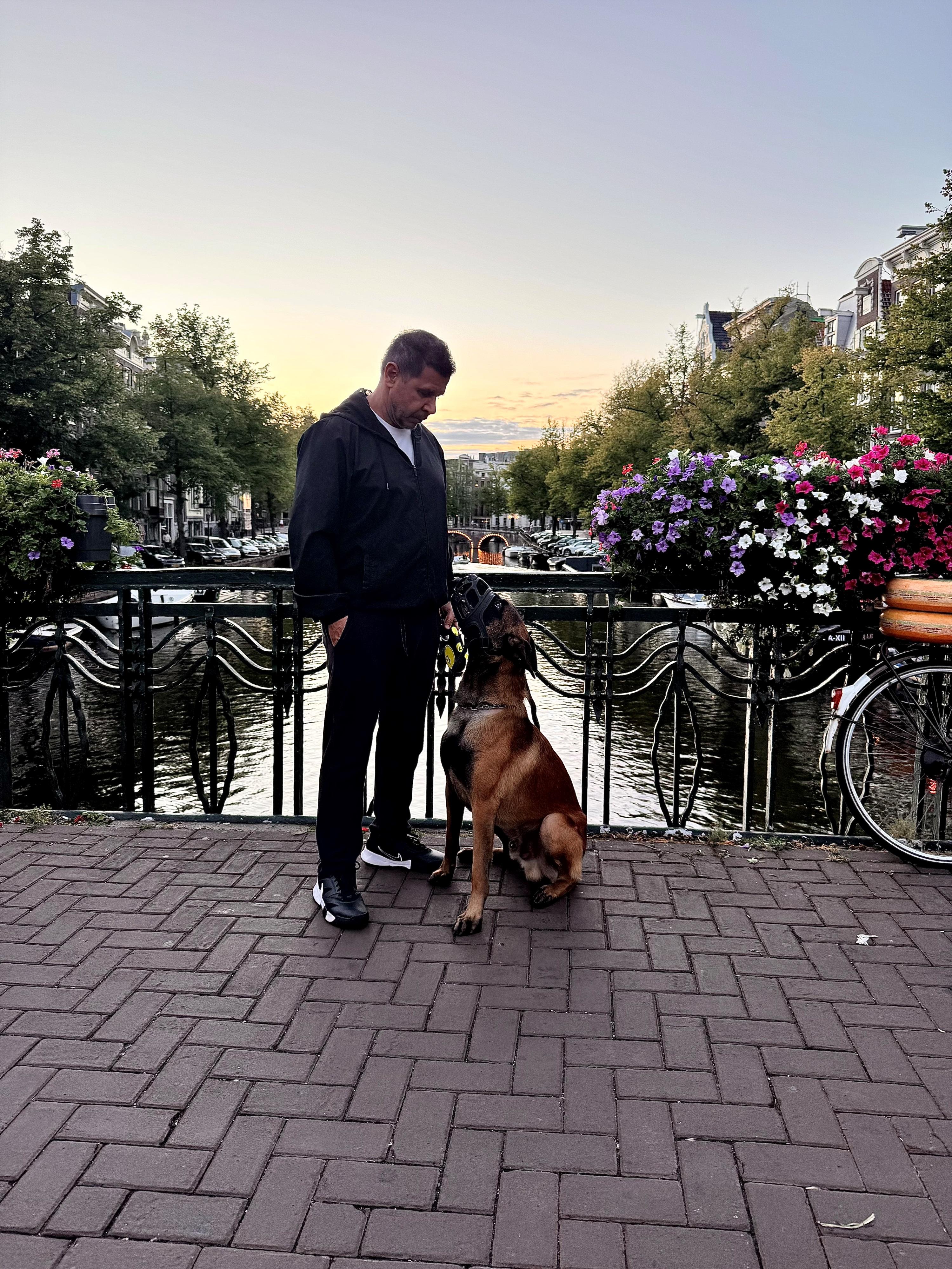 2026.Set - Leguan des Chiens de Travail - Holanda