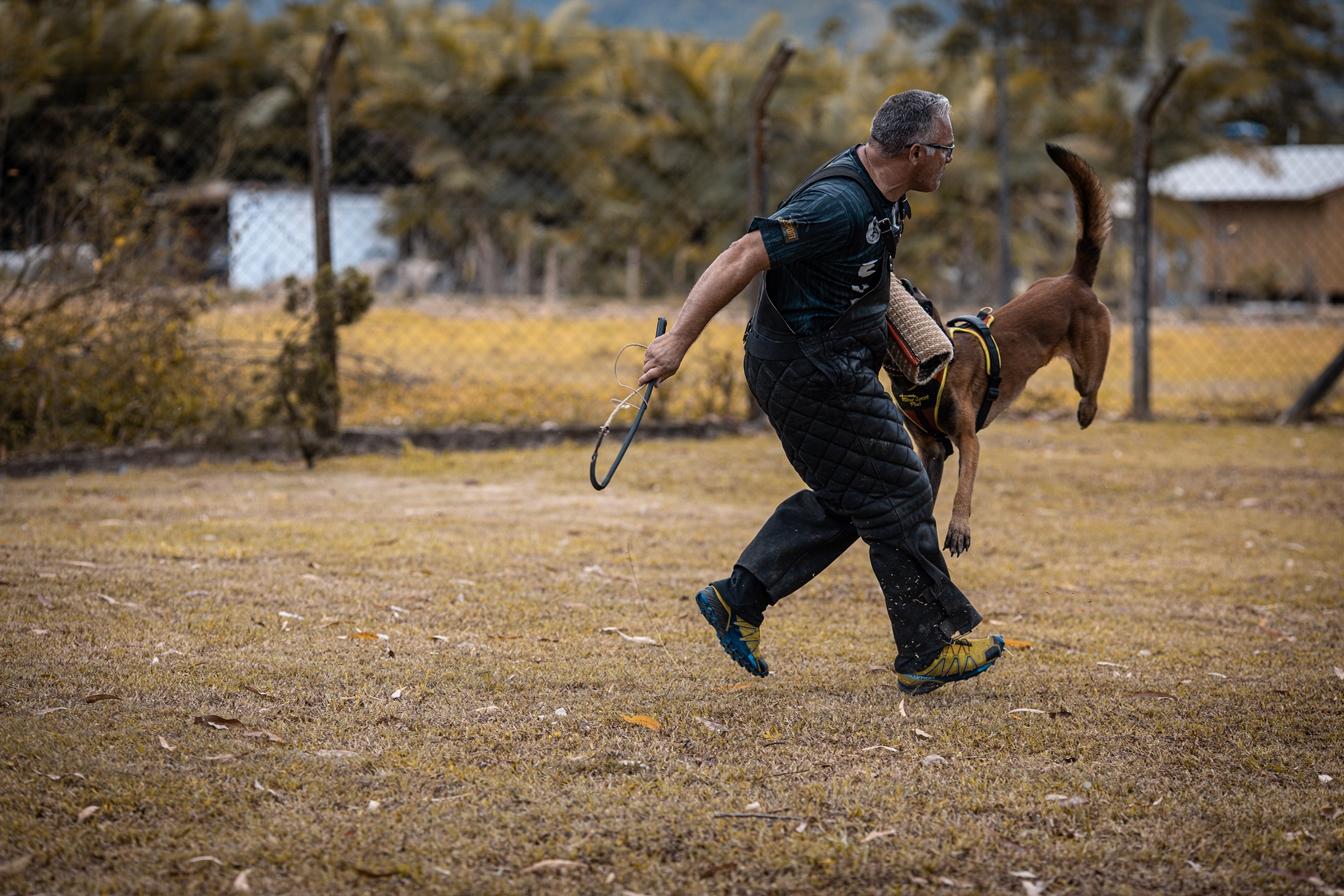 2020.Nov - Colt vom Further Moor e Marcio Cerqueira