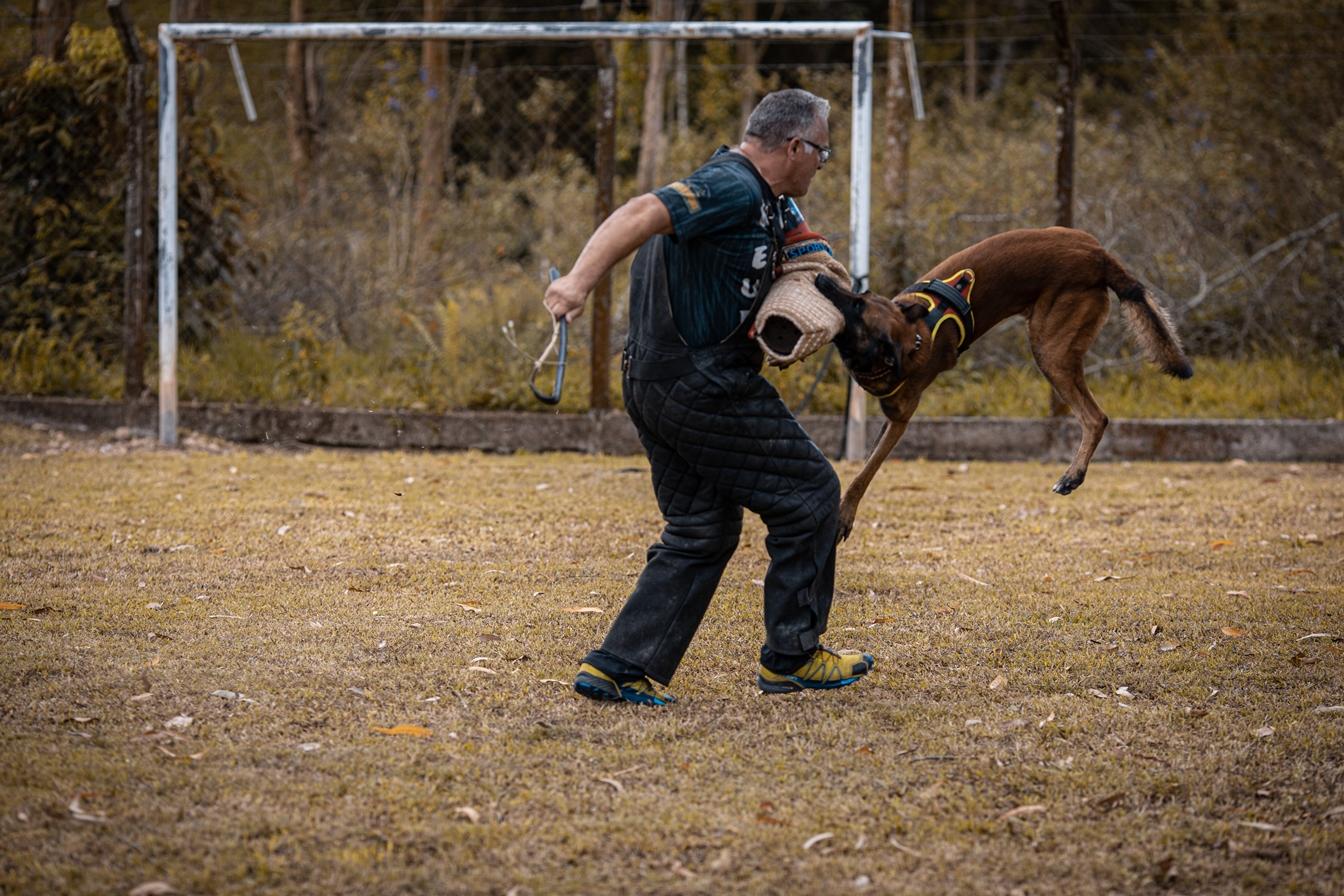 2020.Nov - Colt vom Further Moor e Marcio Cerqueira