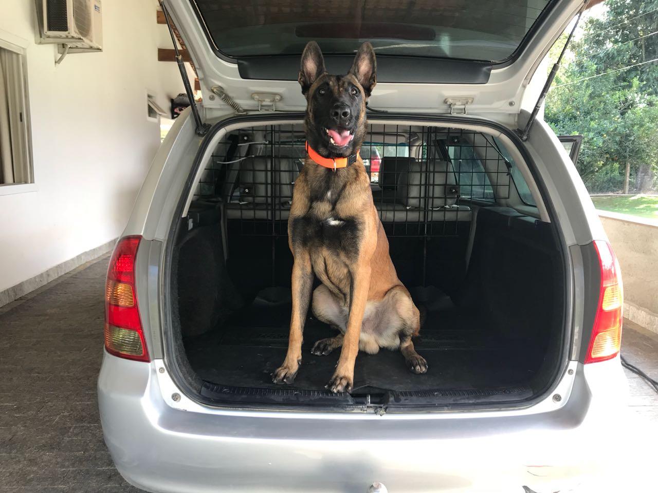 2018.Agosto.01 - Olha o tamanho da criana dentro do carro...