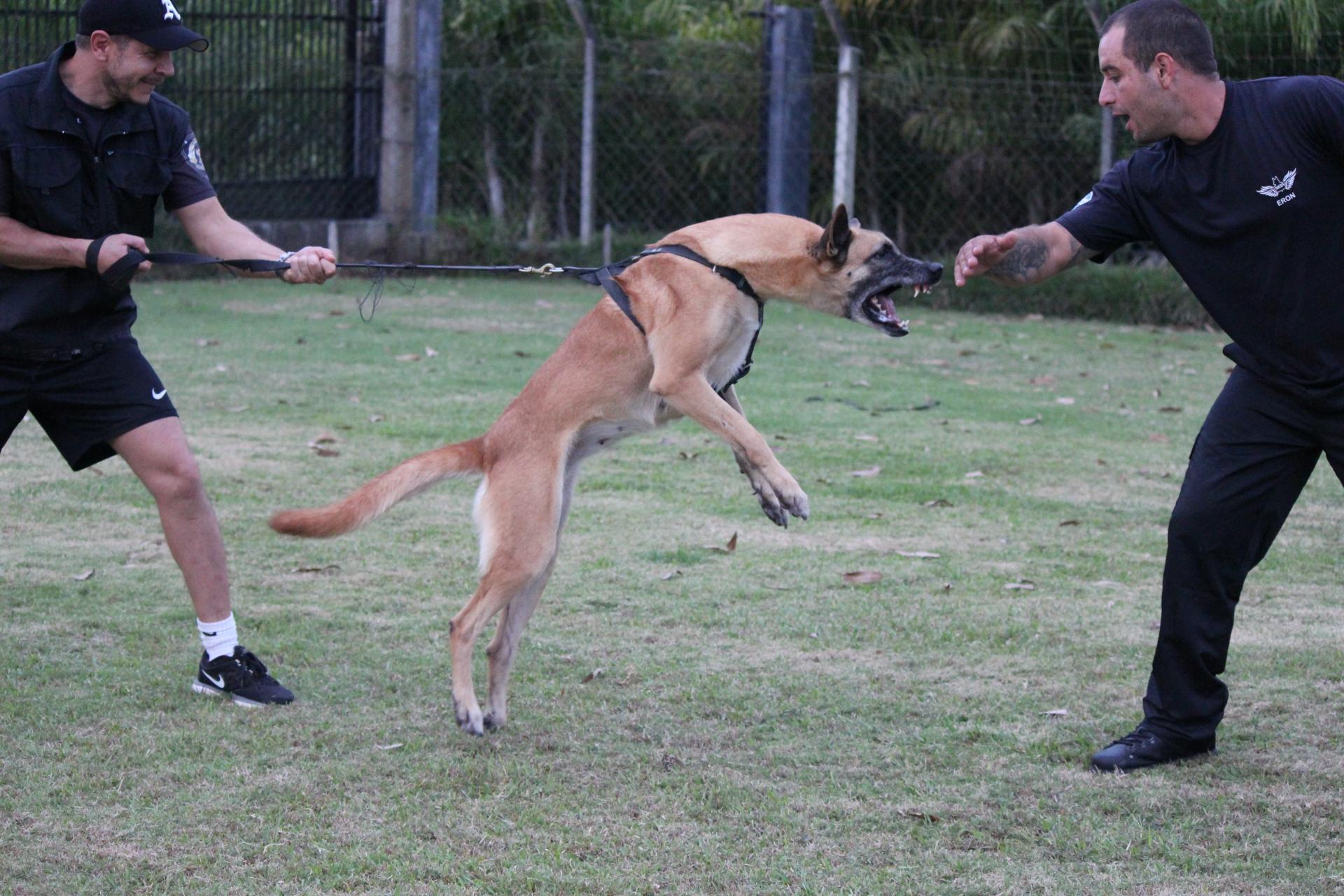 2015.Jul.01 - Fumaa em treino civil