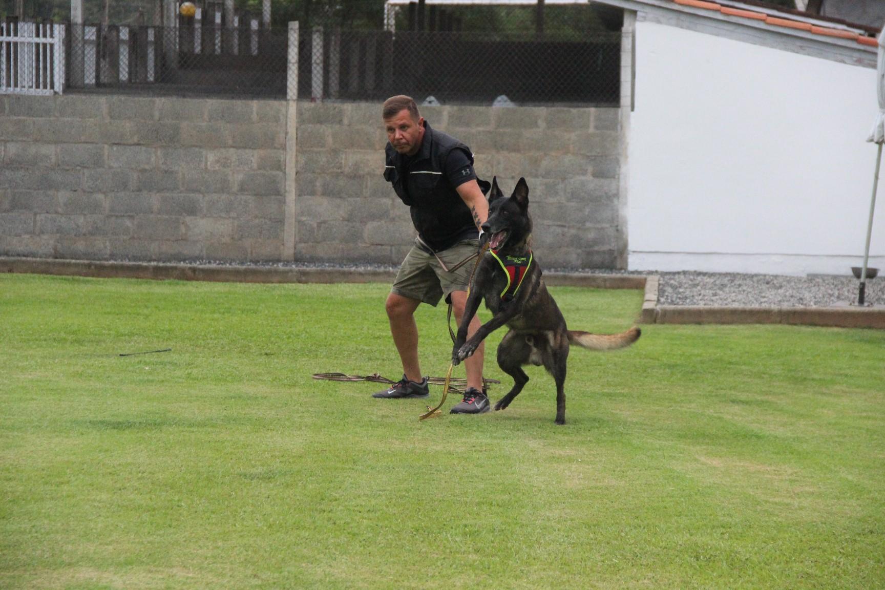 2020.Jan.18 - Seal Araguaia em treino com Victor Saad.