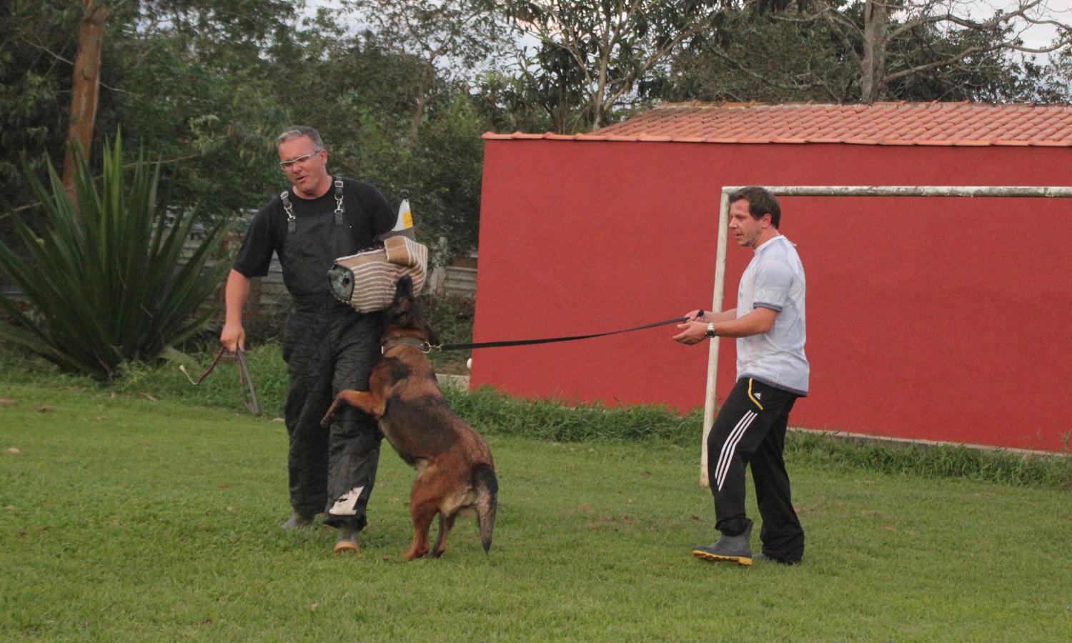 2013 - Makechas Dana em treino de proteo com o Figurante e Juiz Internacional, Marcio Cerqueira.