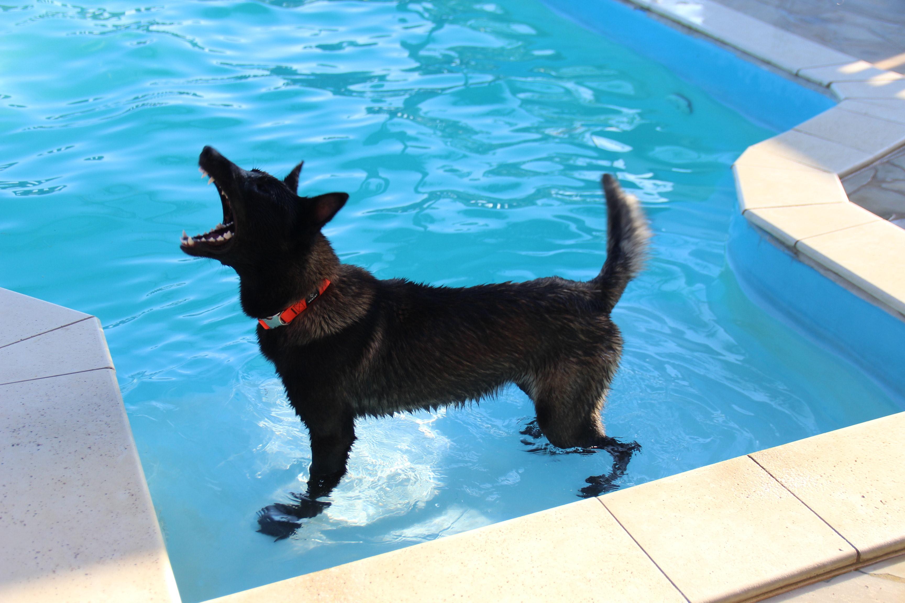 2025.Nov.10 - Taurus - Alfonso Energy Slovakia