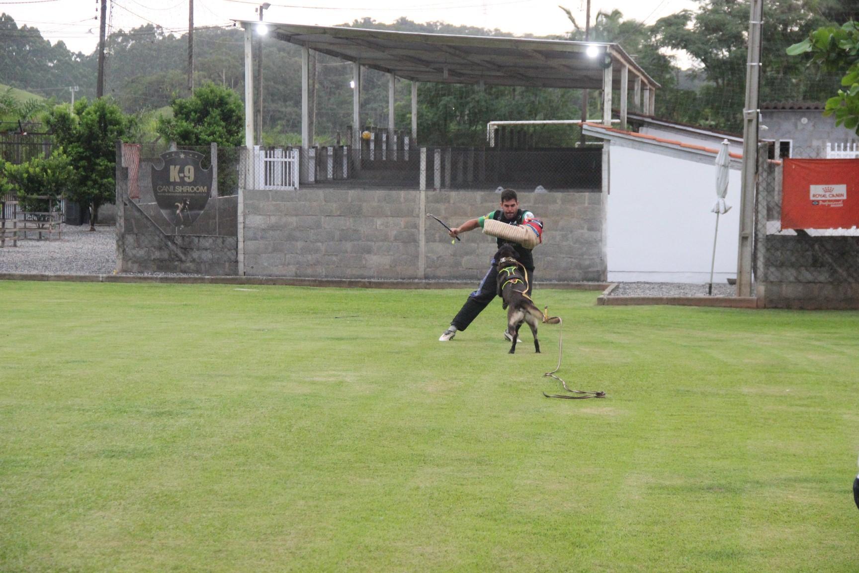 2020.Jan.18 - Seal Araguaia em treino com Victor Saad.
