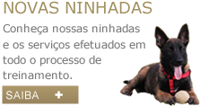 Novas Ninhadas